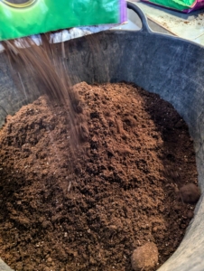 Ryan combines all three potting mixes in one large trug bucket.