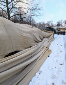 The crew pulls the burlap over the metal framing and over the shrubs. It takes a couple of crew members to get the burlap over the frame peaks.