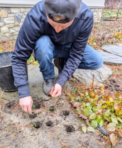 Josh plants an entire section before backfilling, so he knows what holes he has planted.