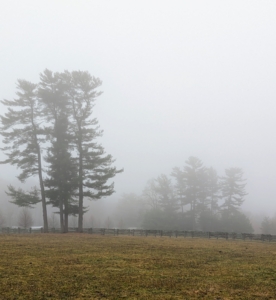 These are the great Eastern white pine trees on the left. Hard to see their bold green color, but they do stand out in clear conditions.