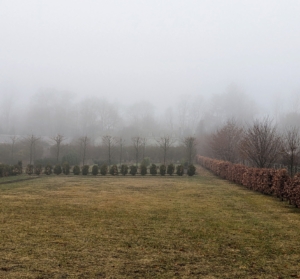 This is a southern view looking at my living maze. Hard to see, but my Winter House home is in the distance.