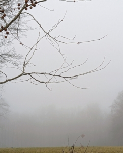 Do you know how fog forms? Fog can form in two ways: either by cooling the air to its dew point or by evaporation and mixing. This happens often when the earth radiates heat at night or in the early morning.