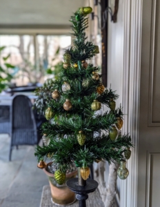 Here's a green tree - one of two - at the entrance to my enclosed porch.