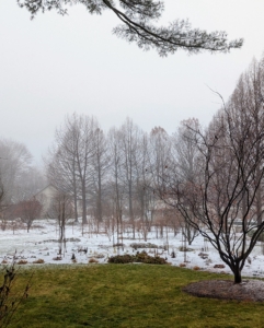 These garden beds are behind my gym building and Tenant House. The light fluffy snow forms when all layers of the atmosphere are below freezing. Because the air is cold, all the way down to the surface, snowflakes don’t melt. It was just about 32-degrees Fahrenheit in the early morning with temperatures rising to the low 40s by midday.