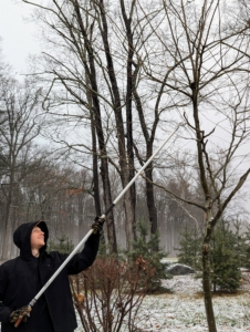 The best time to prune and pollard trees is when the trees are dormant, during the cold months. It’s best to complete all pruning before early spring when the buds begin to form. Dormancy pruning reduces the amount of stress placed on the tree. The reduced flow of fluids in the tree during the time helps the pruning wounds heal quicker.