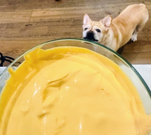 This cheese bowl is Tim's "almost famous Pale Ale Cold Fondue" that his French Bulldog Jack was eyeing! The fondue was paired with a really nice crispy French bread from Balthazar.