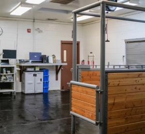 This is the center's exam room, where Bond was taken for preliminary evaluation. (Photo by Karin Belgrave Photography)