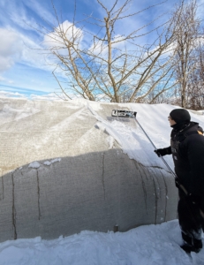 After it snows, my crew sweeps the snow off the burlap that covers most of the boxwood here at the farm. This time of year, I am very relieved the hedges and shrubs are protected. Heavy snow could splay the branches.