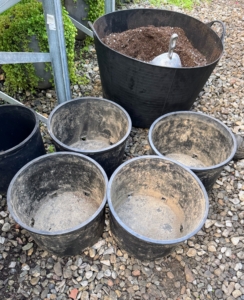 My head gardener Ryan McCallister selects the proper pots and lines up the exact amount for the new plants. Any pots used should have ample drainage holes in the bottom.