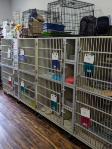 In the back of the rescue is a quiet room for new adoptees. Cats are medically evaluated and temperament tested and then given quiet areas to decompress and acclimate to unfamiliar surroundings.