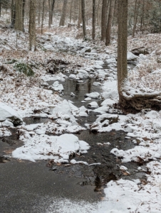 Here in the Northeast, we had very little rain last year. It's nice to see the streams flowing again.