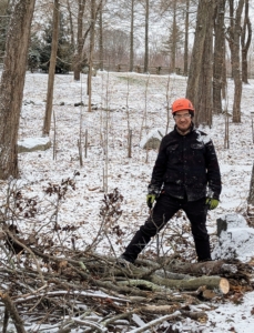 During the winter months, my crew does what I call "cleaning the woods" - picking up branches and other detritus from the woodland. Here's resident tree expert, Pasang Sherpa, delivering some debris to a pile, which will be chipped later.