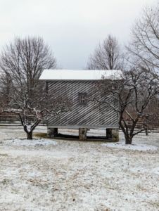 Here’s the old corn crib, which is original to the property. Its unique “keystone” shape, flaring from bottom to top and more pronounced from the front and back sides, was designed to shed water.