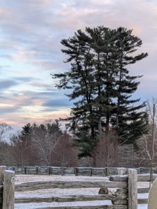 And by afternoon, the clouds parted just enough to reveal this blue sky. Even if you don’t love winter, I am sure you agree, the scenery is breathtaking.