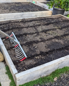 Depending on each vegetable's seed spacing needs, Ryan makes five or six rows in each bed.