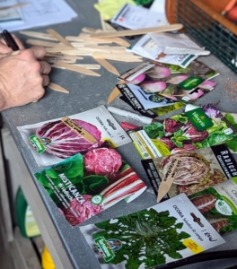 Inside the head house, Ryan is preparing the markers for the vegetables to be planted. I am always on the lookout for different seeds when I travel, but seeds are also widely available online and at garden centers. Ryan keeps track of what seeds do well at the farm – indoors and out. I select what will be planted in each bed.