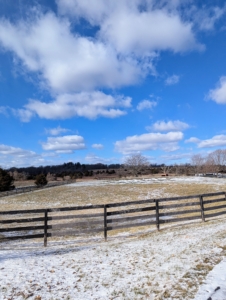 Mid-Atlantic Equine Medical Center also has multiple paddocks where horses can be turned out and rehabilitated as needed.