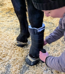 These supports do not restrict movement, but do protect the horse's lower extremities.