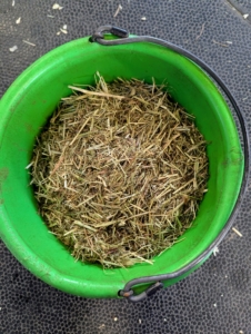 For the ride, Bond was also given a bucket of "Dengie" or chopped hay which is more palatable for Bond as he heals.