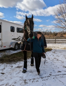 And here he is getting ready to board the trailer. He is so much stronger than he was before the holidays. Dr. Belgrave said Bond looks great.