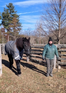 Out in the pasture, it's time to bring the horses indoors. During winter, I prefer the horses stay in the stable at night when it's cold. During warmer weather, they are turned out in the afternoon when it is cooler.