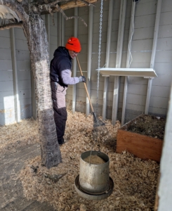 Cesar replaces the bedding once a week and makes sure everything is in good working order in the coops. On the wall is a Sweeter Heater, a safe, reliable and easy to install heating source. I have two in every section of each coop.