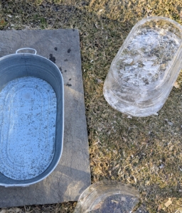 Cesar Felix, who helps me care for all my birds, checks the water several times a day. When it's this cold, water troughs need to be emptied of ice and then refilled, so the birds always have access to fresh drinking water.