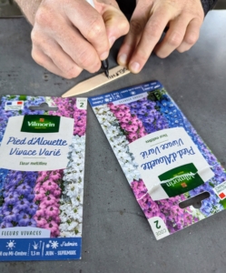 Next, Ryan prepares markers for delphiniums. Delphinium seeds are good to start indoors about six to eight weeks before the last frost.