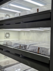 And then some trays go into a commercial-sized Urban Cultivator, which can hold up to 16-trays. The Urban Cultivator’s pre-programmed control center adds just the right amount of water, light, humidity, and air for the seeds to germinate.