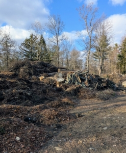 And here are other piles - leaf mold, or composted leaves, and other organic brush and plant debris - all carbon-rich materials in various stages of decay.