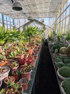 My large greenhouse is filled with Wolff pottery. I've been using Wolff pots for years.