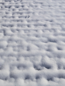 This snow was followed by two days of frigid cold - even the snow on the cobblestone, which is exposed to full sun, did not melt away.