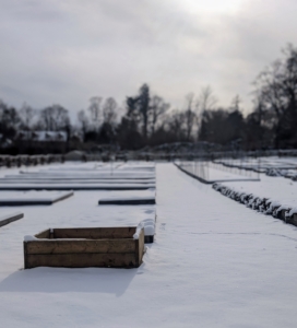 My vegetable garden is put to bed for the season, but time goes fast. It won't be long before fresh, organic vegetables fill every bed once again.