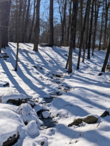 In the woodland, a stream peeking through the blanket of white. The woodland streams are full, but semi-frozen.