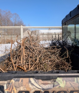 All the cut branches and canes are driven to the compost pile where they will be made into mulch. There is a lot of work to do around this busy farm all year round, but one by one the tasks are well completed.