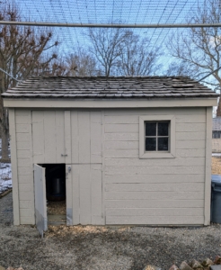 This coop just outside my stable is currently designated for birds that are new to my farm as well as my Golden pheasants. It is heated and has doors on both the front and back for easy access to the outdoors.