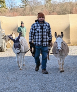 And here's Jimmy bringing in the donkeys.