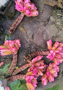 Here are some cut flowers also for sale.