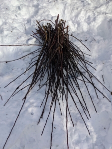 After all the branches are cut, they are gathered, neatly piled, and then processed through a wood chipper to make mulch.