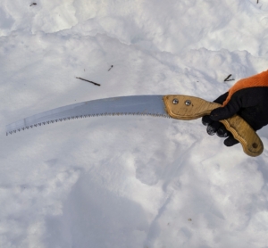 For thicker branches, the crew also uses a pruning hand saw. A pruning saw makes it easier to cut branches and not harm them.