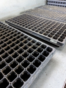 Select the right kind of tray based on the size of the seeds. The containers should be at least two-inches deep and have adequate drainage holes.