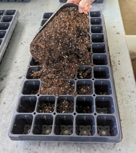 Ryan prepares the trays. It’s best to use a pre-made seed starting mix that contains the proper amounts of vermiculite, perlite and peat moss. Seed starting mixes are available at garden supply stores. I use Miracle-Gro Seed Starting Potting Mix.