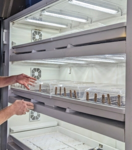 And then the trays are placed in our Urban Cultivator growing system – it has water, temperature and humidity all set-up in a refrigerator like unit. Let the growing season begin - I'm ready!