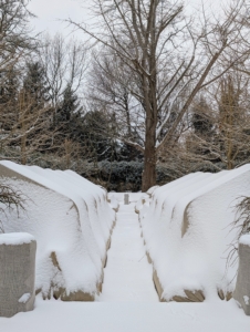 Here is the sunken garden behind my Summer House - it looks so different in winter. This snow system covered the burlap almost completely. I'm thankful the snow was light and did not weigh anything down on my precious boxwood underneath.