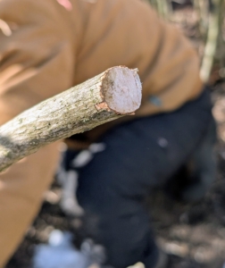 The crew also makes sure all the tools are extremely sharp, so they make clean cuts.