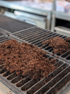 Because I use a lot of onions for cooking and for sharing with my family, I plant many trays of onion seeds. My head gardener, Ryan McCallister, fills the seed starting tray with an appropriate mix.