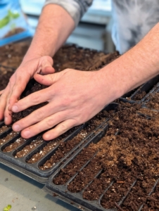 The soil should be level with the top of the tray. Ryan fills several trays first and works in a production line process.