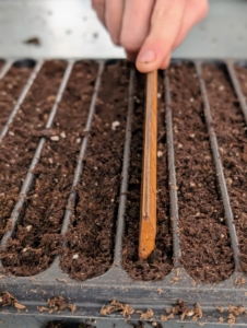 Ryan uses the edge of a wooden ruler to make quarter-inch deep furrows.