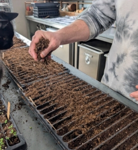 Once the seeds are dropped, Ryan adds an additional light layer of soil mix, so the seeds are completely covered.