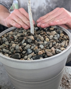 Ryan adds some pea gravel as top dressing. This gravel not only looks pretty, but it will help to anchor the stems.